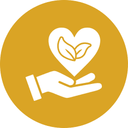 Hand holding heart with leaves symbol.