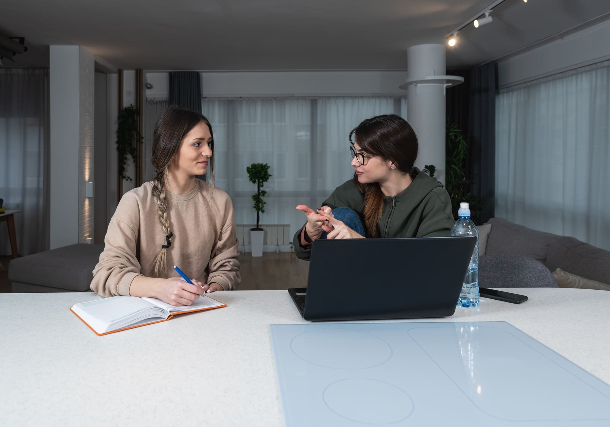 Two women discussing at a table.